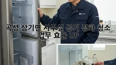 곡성 삼기면 사무실 공기 정화 청소: 업무 효율 UP!